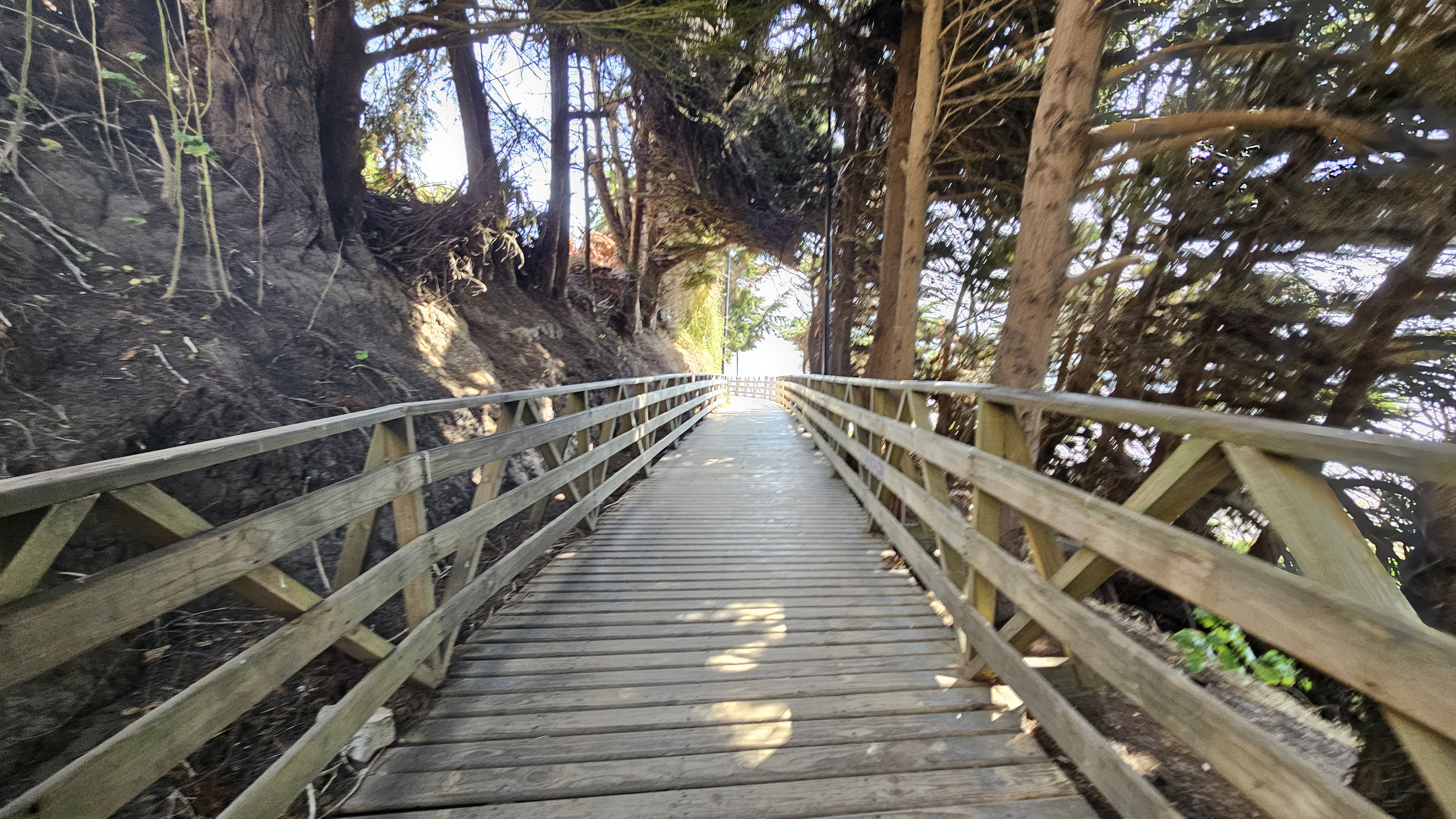 Fotografía del sendero con sector sombreado